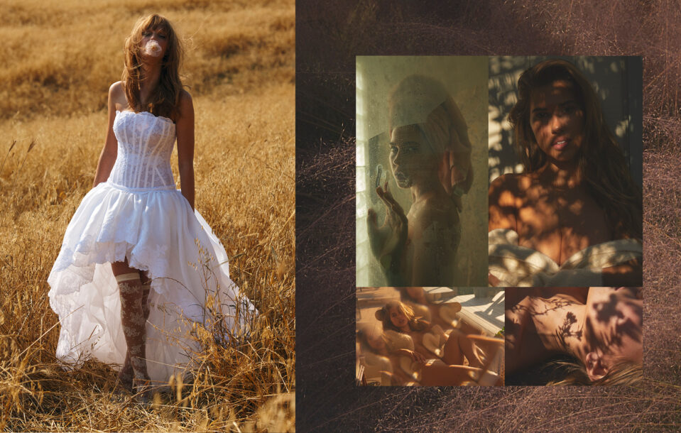 Wedding Portfolio