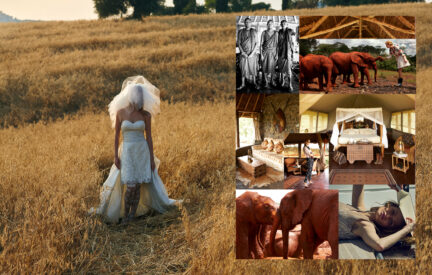 Wedding Portfolio