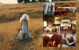 Wedding Portfolio 50
