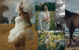 Wedding Portfolio 54