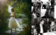 Wedding Portfolio 56