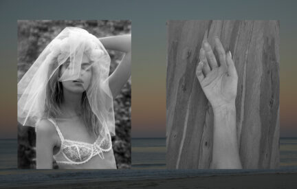 Wedding Portfolio